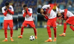 МошкАпокалипсис: матч Англия - Тунис атаковали полчища мошкары