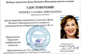 Новгородский кандидат в депутаты провела трансляцию из душа в купальнике