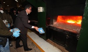 В Аргентине сожгли 389 кг кокаина из российского посольства