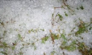 В Кемеровской области выпал снег