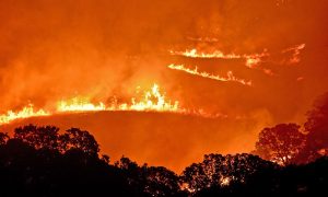 Русскоговорящая женщина с ребенком проезжает мимо пожара в Калифорнии