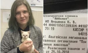 Девушка оплатила долг в 340 тысяч рублей ради котенка