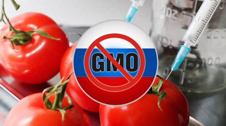 В России ввели обязательную маркировку продуктов с ГМО 