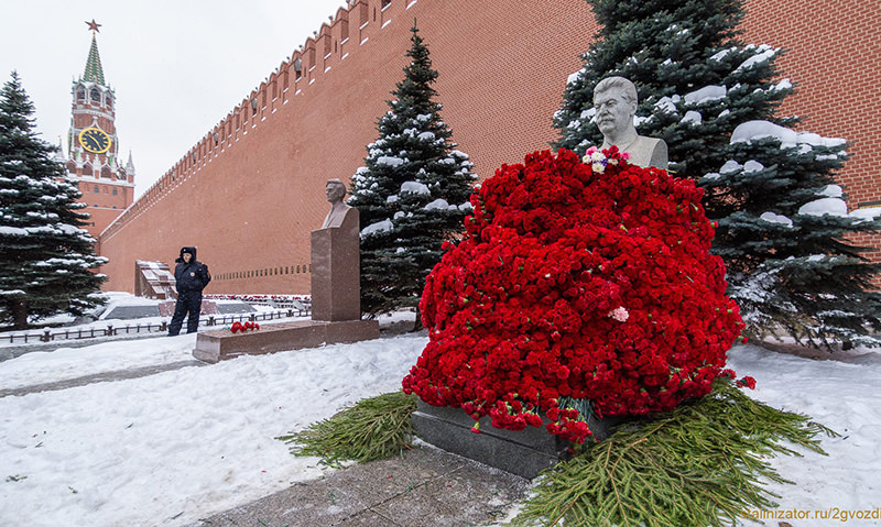 Сталинский цветок фото