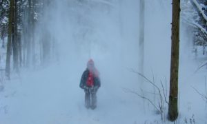 Трехлетний ребенок сам смог выйти из тайги в -35°С