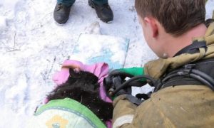 Пожарные спасли из горящей квартиры женщину и откачали ее котика