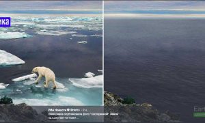 Greenpeace напугало фотографиями 