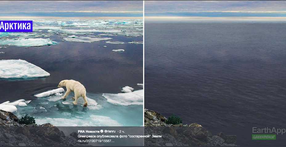 Greenpeace напугало фотографиями 