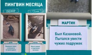 В океанариуме показали 