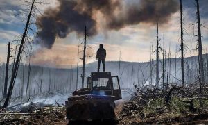 Названа причина распространения лесных пожаров в Сибири