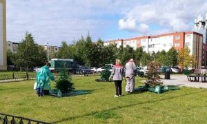 В Когалыме к приезду министра спорта РФ покрасили елки и траву в зеленый цвет