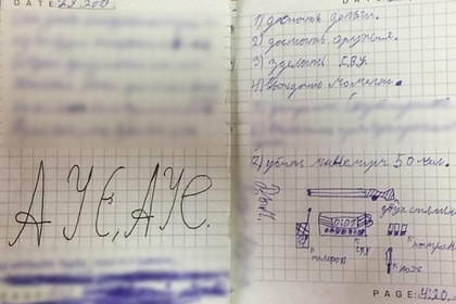 Российского школьника уличили в подготовке к убийству «минимум 50 человек» 