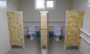 В российской школе торжественно открыли первый за 145 лет туалет в помещении