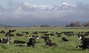 Миллионер решил найти 10 желающих разделить с ним жизнь в «раю»