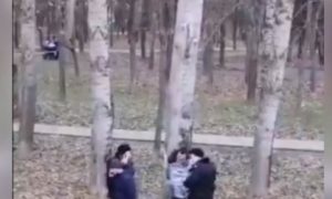 Разбуянившегося москвича привязали к дереву пищевой пленкой