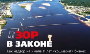 «Волк надзорный»: прокурора ЯНАО обвинили в злостном препятствовании правосудию