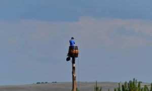 Терпеливый африканец три месяца сидит в бочке на высоком столбе и не слезает