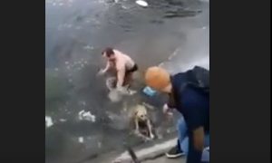 Астраханец спас тонущую собаку из ледяной воды