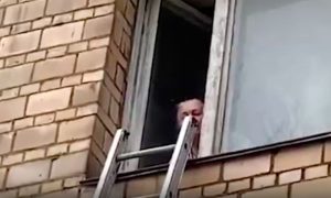 В Москве спасли ребенка, которого прабабушка обещала выбросить в окно