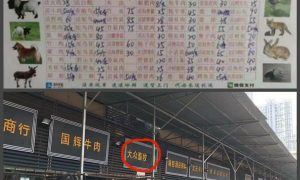 В Сети показали фото с китайского рынка, где предположительно началась вспышка коронавируса