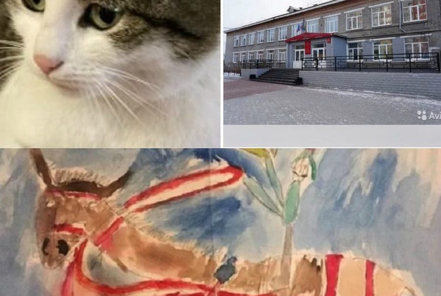 Волшебная кошка, нарисованная лошадь и школа с учениками. Что продают в интернете за миллионы 