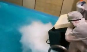 Она пошутила: 