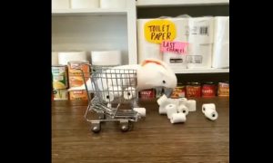 А вы поддержали тренд с туалетной бумагой?