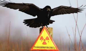 Календарь: 26 апреля - Годовщина чудовищной катастрофы в Чернобыле
