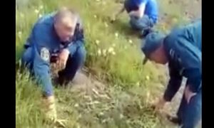 Пожарных в Новосибирске заставили стричь газон ножницами