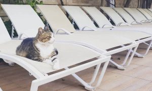 Отпуск в пандемию: как будут отдыхать россияне летом 2020 года