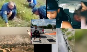 Самые интересные видео дня