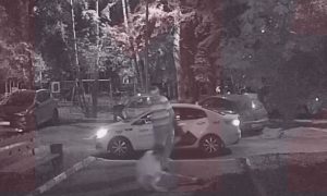 Пьяный москвич устроил расстрел из окна своей квартиры