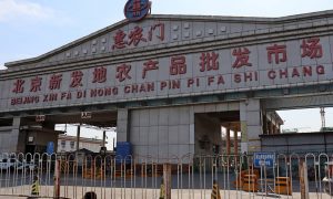 Ученые расшифровали геном найденного на рынке в Пекине коронавируса