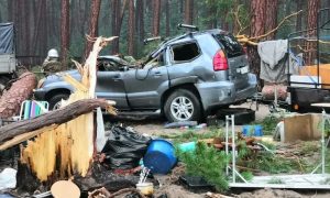 В Красноярском крае ветер повалил деревья на палатки: один погиб, пятеро пострадали