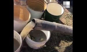 Жители села под Челябинском пожаловались на грязную питьевую воду, которую им привезли в ассенизаторской машине