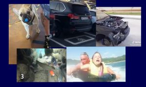 Самые интересные видео 21 августа