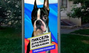 В депутаты городской думы Ростова выдвигается пёс