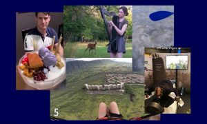 Самые интересные видео 19 августа