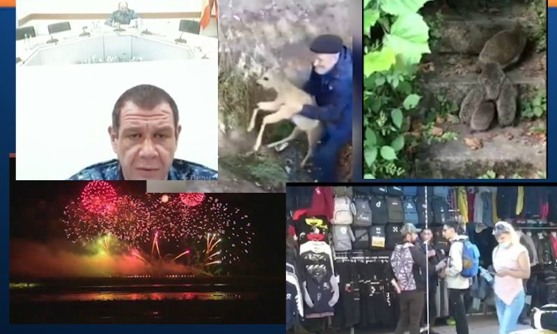 Самые интересные видео 20 сентября 