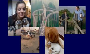 Самые интересные видео 8 сентября