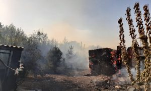 «Все дотла сгорело»: Ростовскую область охватили страшные пожары