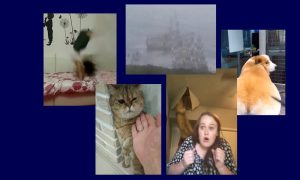 Самые интересные видео 3 сентября