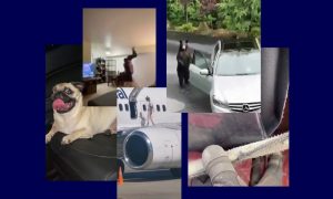 Самые интересные видео 1 сентября