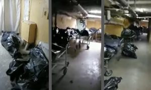 Трупы на полу: подвал барнаульской больницы завален умершими от коронавируса