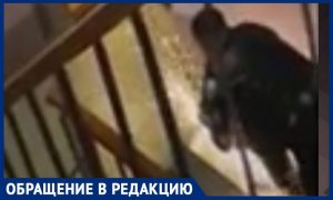 Ростовчанин ночью спилил пандус, установленный для  ребенка-инвалида, рассказали соседи
