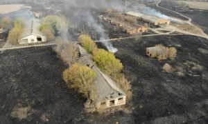 Неудачная стрельба из военного вертолета спровоцировала масштабный пожар в заповеднике под Воронежем