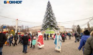 Бизнесмен хотел установить главную елку Воронежа за копейку, но проиграл торги предложению в 2 млн рублей