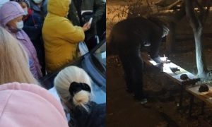 Запись к терапевту на листе под камушком и ночные дежурства над списком: как в Волгограде выживают без госуслуг