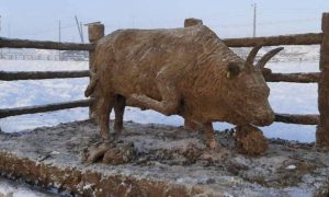 Из чего лепим, в том и живем: житель Якутии изваял новогоднего Быка из навоза