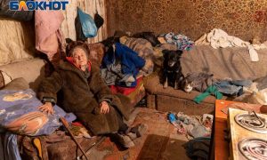 Заживо замерзающая пенсионерка греется дохлыми кошками: история 81-летней волгоградки